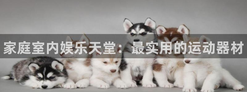 TP钱包安卓版下载的教程