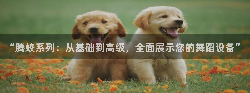 tp钱包bnb矿工费不足