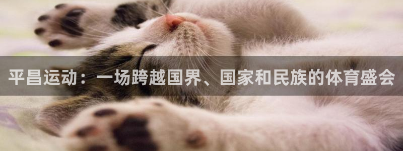 tp钱包usdt跨链兑换