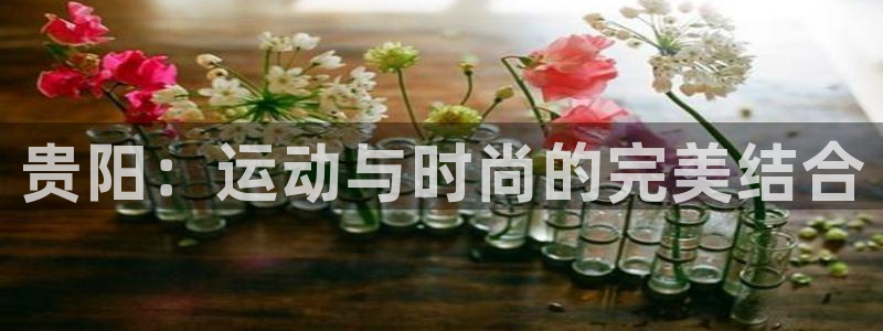 tp-l1nk下载