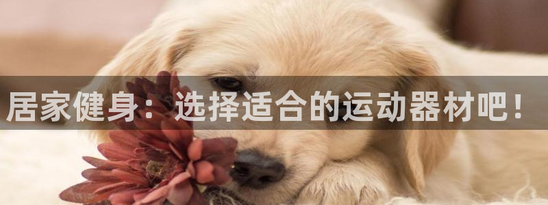 tp多签钱包怎么创建