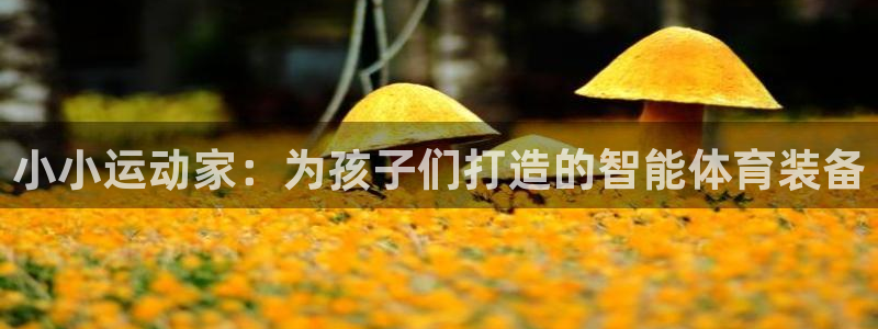 tp钱包pc版